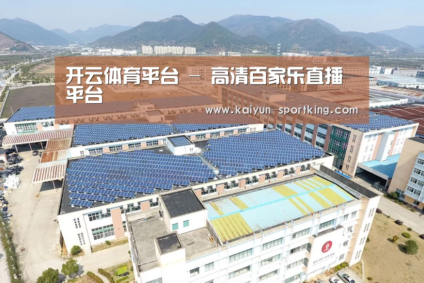 案例展示二
