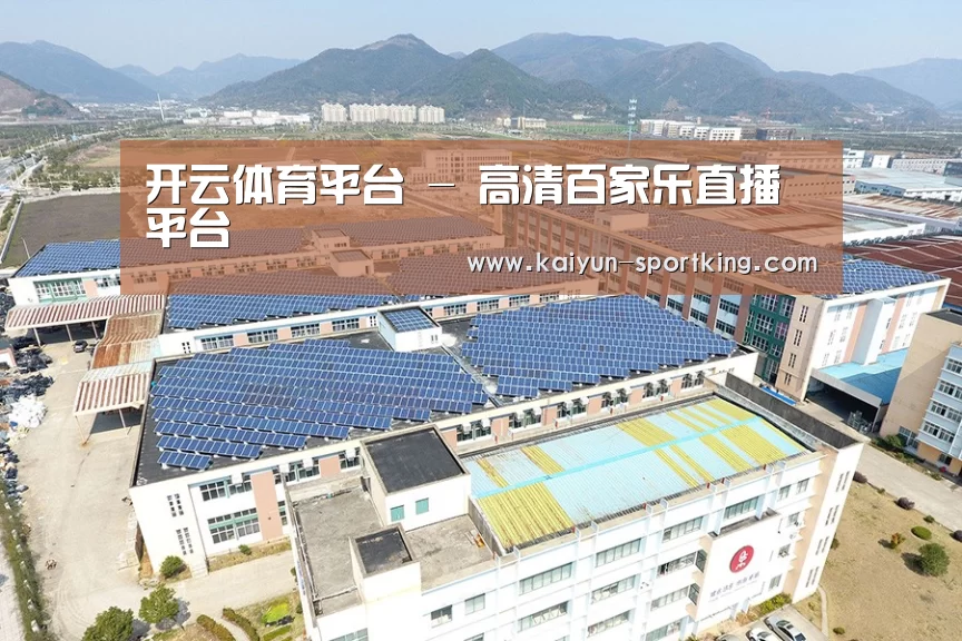 案例展示一