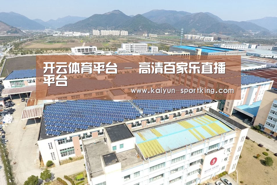 案例展示四