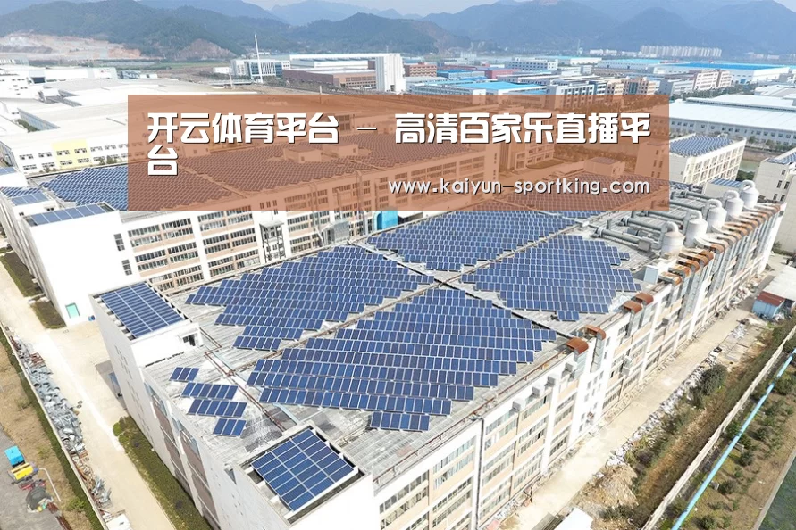 案例展示三