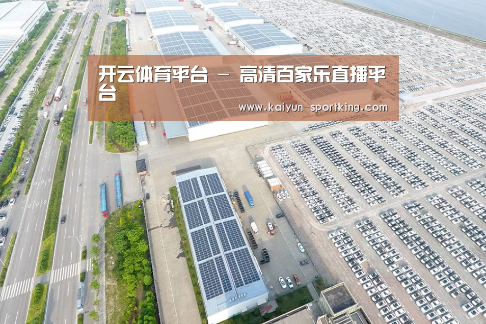 案例展示一