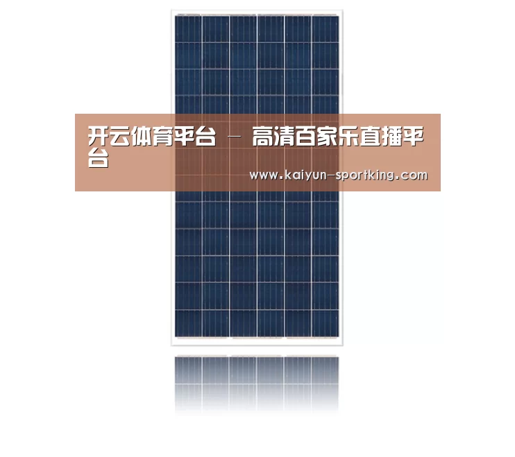 产品名称一