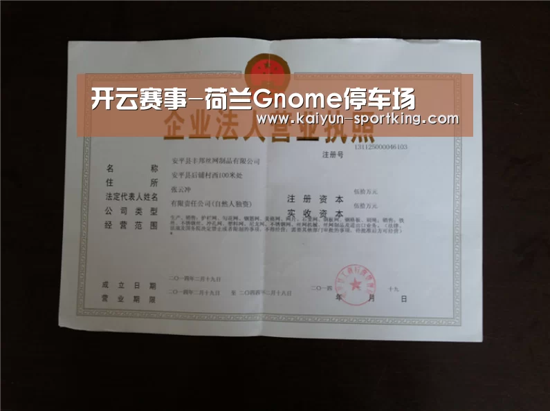 开云赛事-荷兰Gnome停车场(图2) 开云足球