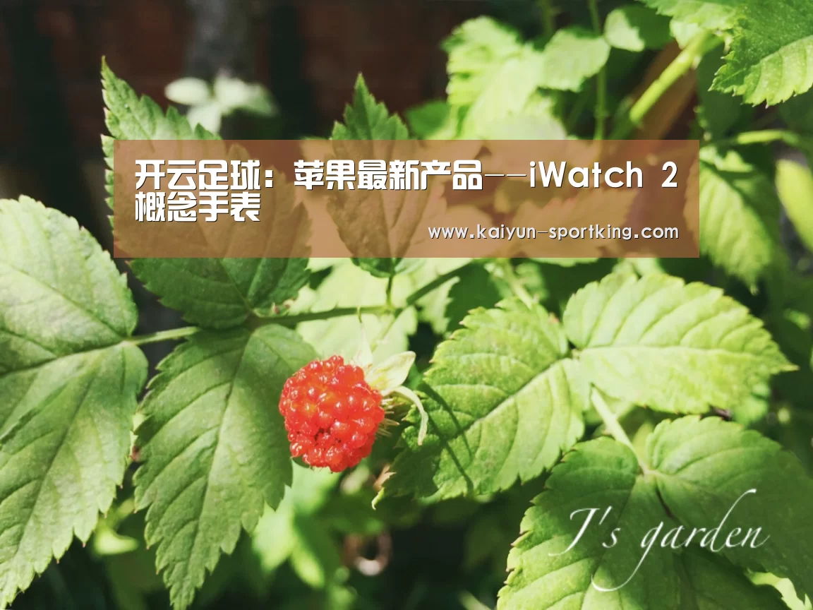 开云足球:苹果最新产品--iWatch 2概念手表(图1) 开云赛事