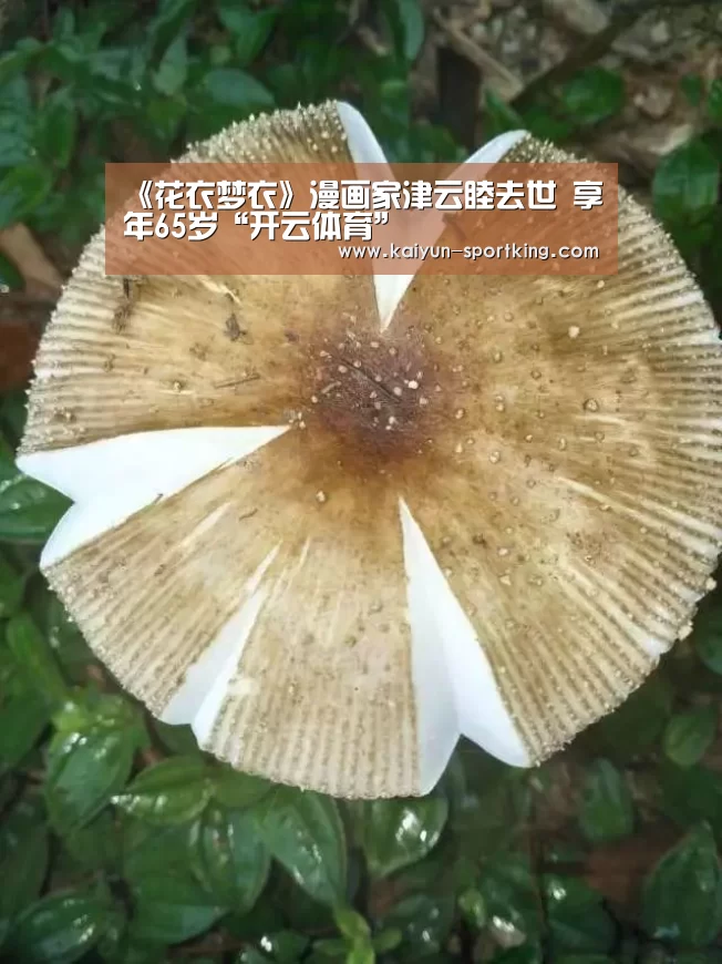 开云体育