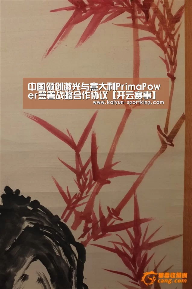 中国领创激光与意大利PrimaPower签署战略合作协议【开云赛事】(图2) 开云体育