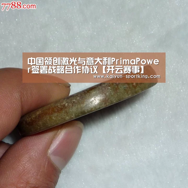 中国领创激光与意大利PrimaPower签署战略合作协议【开云赛事】(图1) 开云足球
