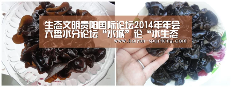 生态文明贵阳国际论坛2014年年会 六盘水分论坛“水城”论“水生态文明”-开云足球(图4) 开云足球