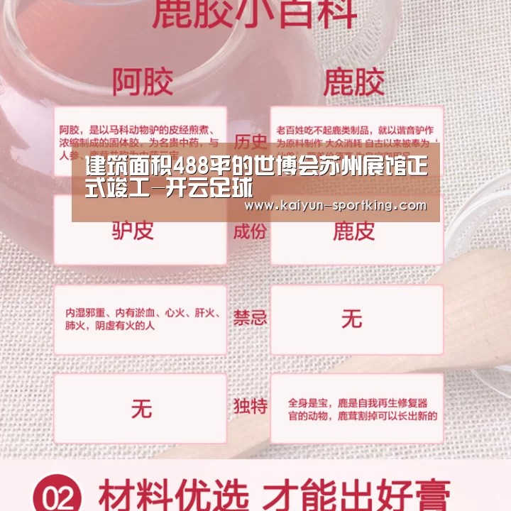建筑面积488平的世博会苏州展馆正式竣工-开云足球(图1) 开云篮球