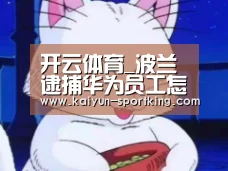 开云体育_波兰逮捕华为员工怎么回事并“通知”美国中情局和我国(图2) 开云足球