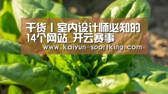 干货丨室内设计师必知的14个网站_开云赛事(图1) 开云体育