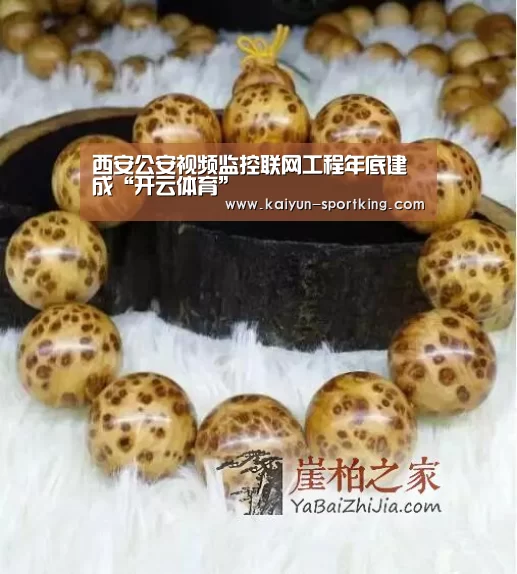 开云赛事