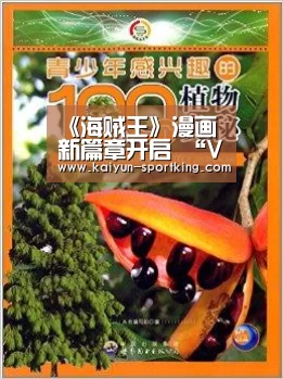《海贼王》漫画新篇章开启 “VS四皇篇”来袭【开云篮球】(图2) 开云赛事