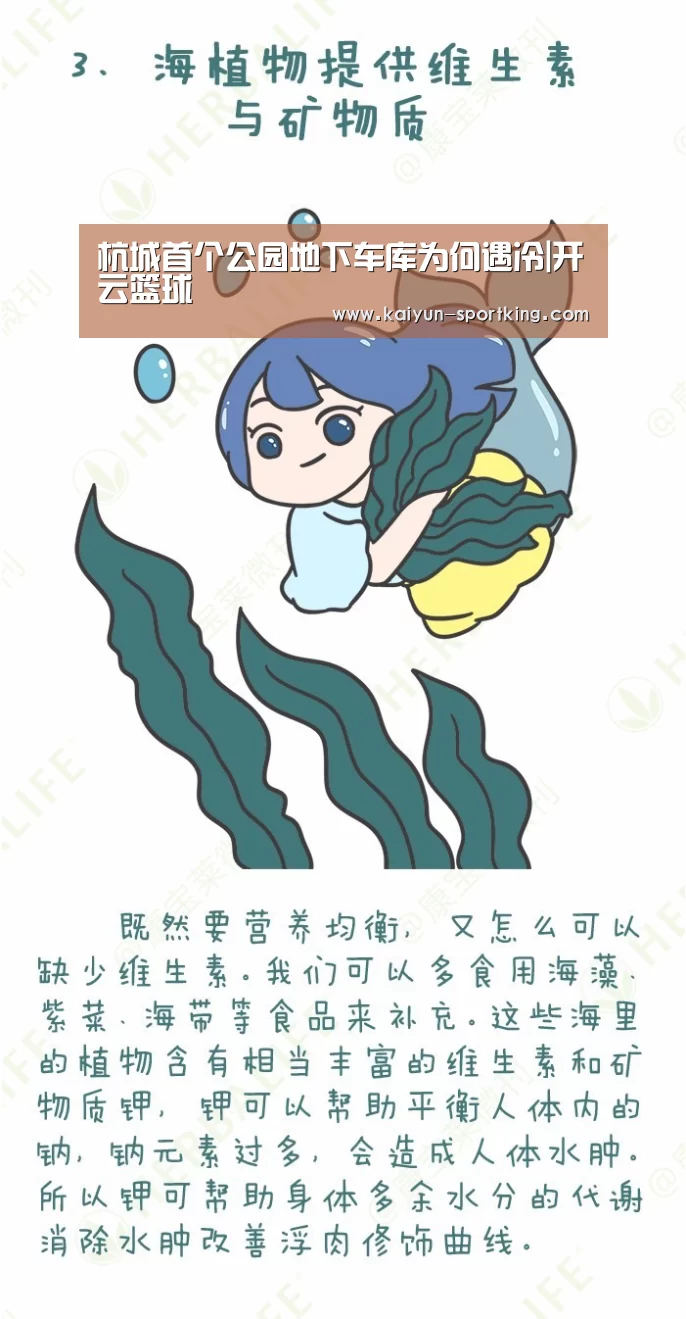 杭城首个公园地下车库为何遇冷|开云篮球(图1) 开云足球